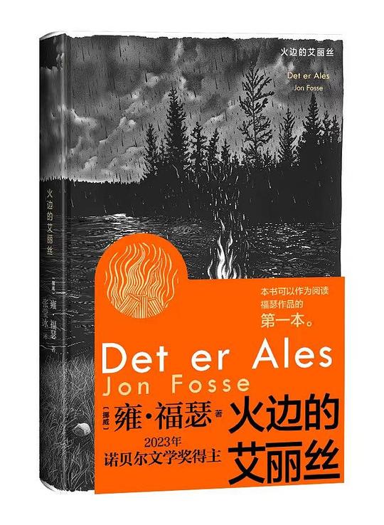 火边的艾丽丝