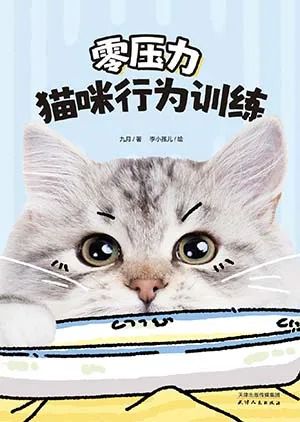 零压力猫咪行为训练