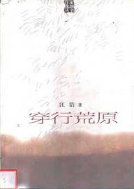 穿行荒原