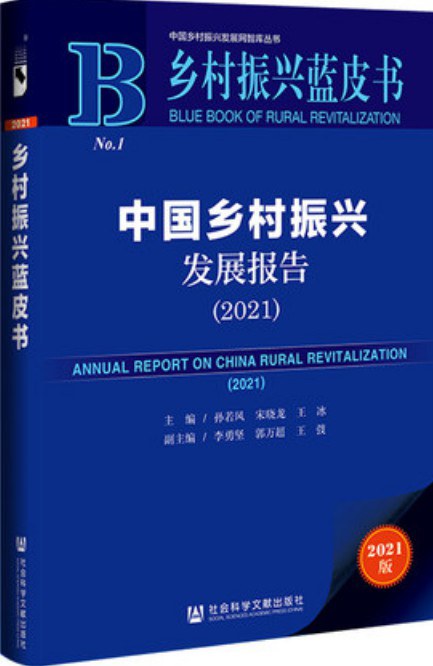 中国乡村振兴发展报告(2021)
