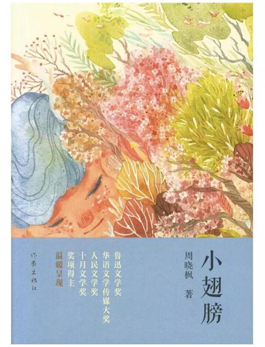 小翅膀