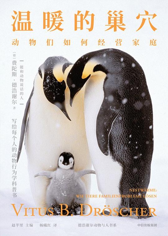 温暖的巢穴
