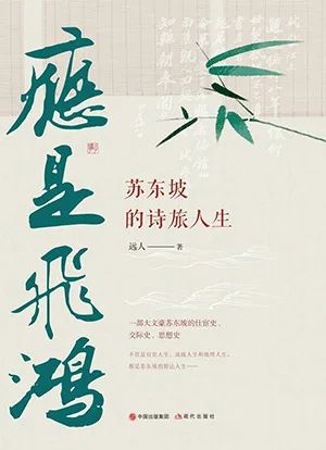 应是飞鸿：苏东坡的诗旅人生