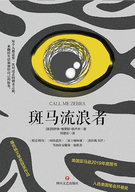 斑马流浪者