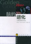 脑的进化