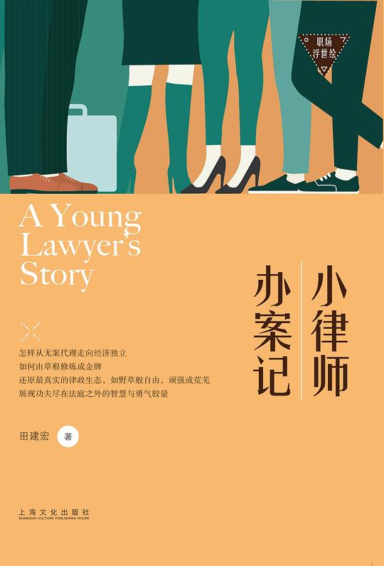 小律师办案记（职场浮世绘）