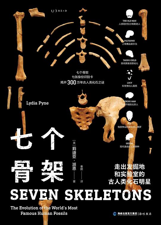 七个骨架