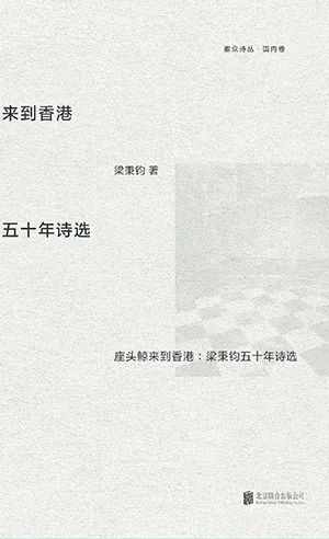 座头鲸来到香港