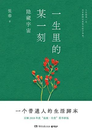 一生里的某一刻·隐藏宇宙