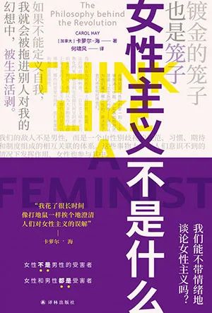 女性主义不是什么
